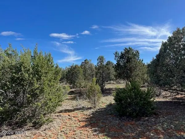 2277 Sunrise Road, Overgaard, AZ 85933