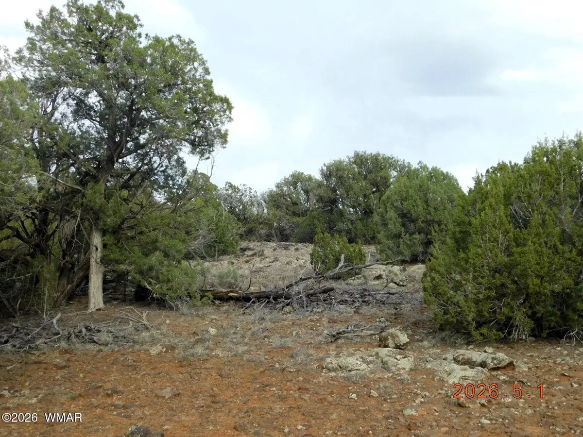 2122 Dawn Place, Show Low, AZ 85901 - #1