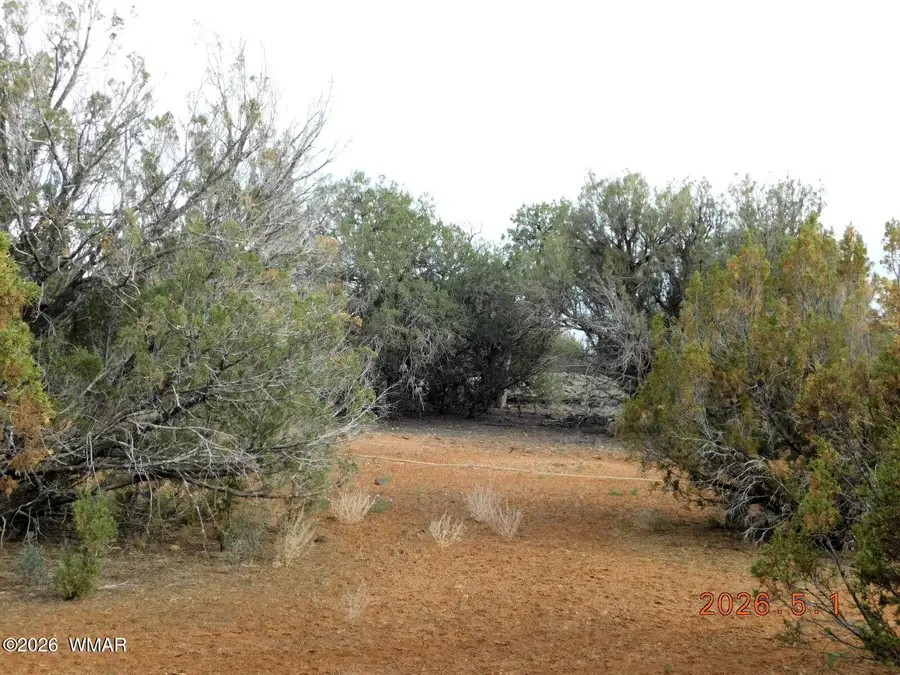 2122 Dawn Place, Show Low, AZ 85901 - #3