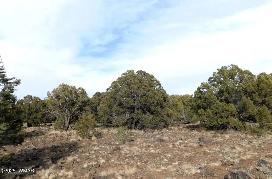 10 County Road N 3071, Vernon, AZ 85940 - #2