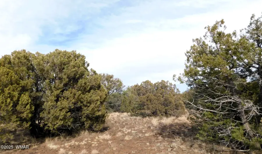 10 County Road N 3071, Vernon, AZ 85940 - #3