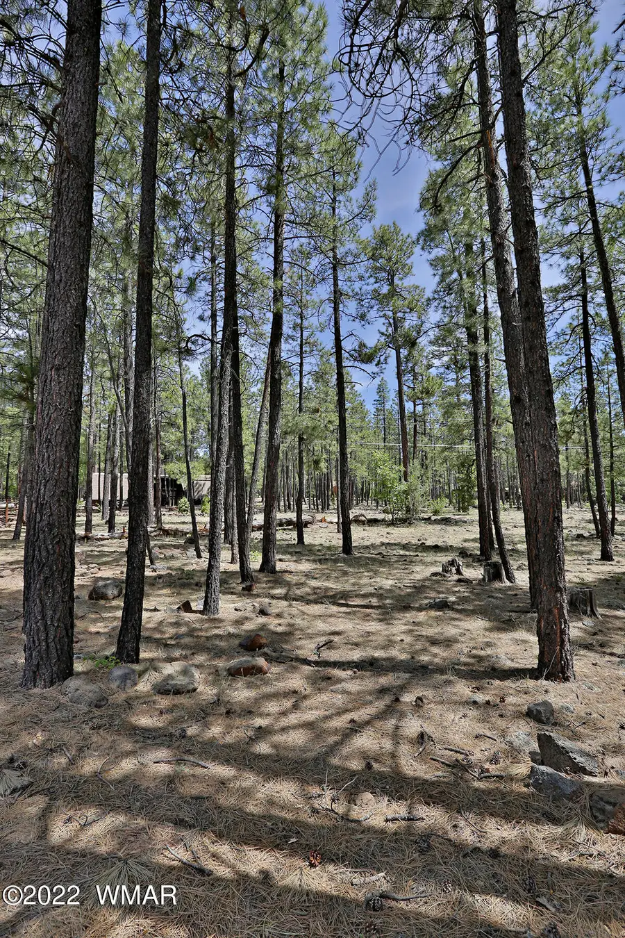 2682 Brahma Circle, Pinetop, AZ 85935 - #2