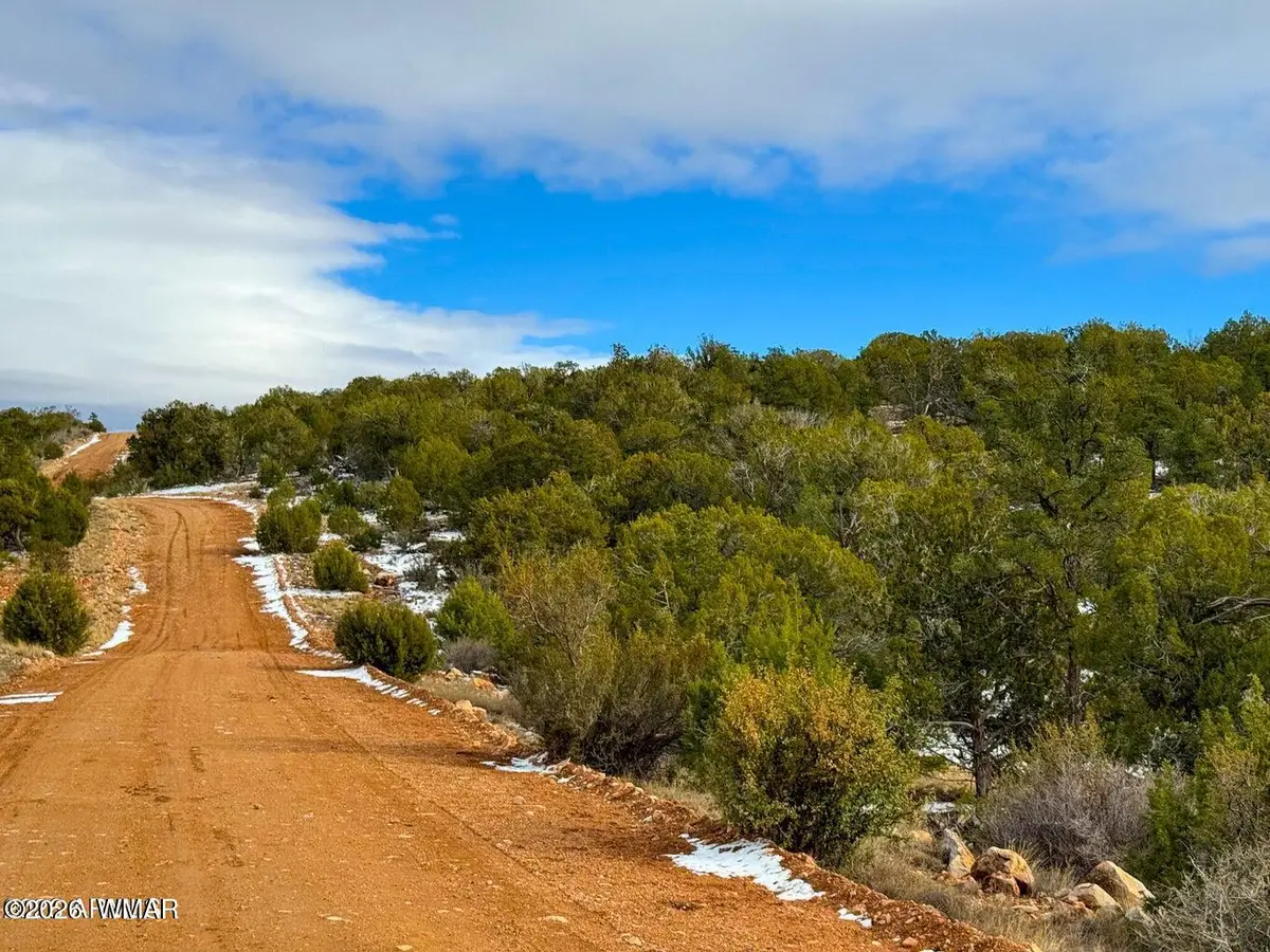 0 W Elkhorn Pass 36 Acres, Seligman, AZ 86337 - #1