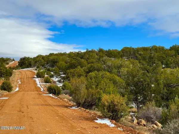 0 W Elkhorn Pass 36 Acres, Seligman, AZ 86337