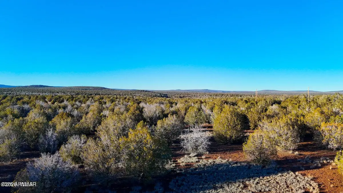 2408 & 237 W Skyline Dr (9.72 Acres), Ash Fork, AZ 86320 - #1