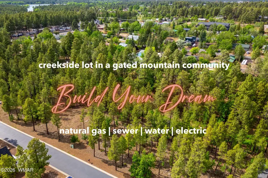 1358 W Big Springs Trail, Lakeside, AZ 85929 - #2