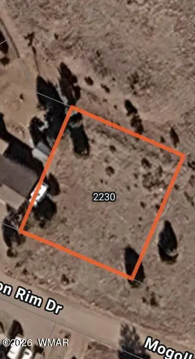 2230 Mogollon Rim Drive, Overgaard, AZ 85933 - #1