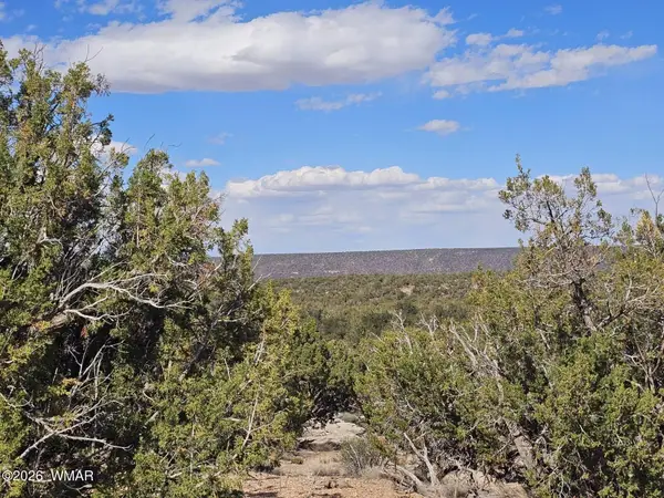 3945 Valley Road, Snowflake, AZ 85937