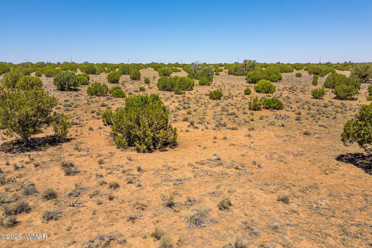 TBD County Road 8643, Concho, AZ 85924 - #1