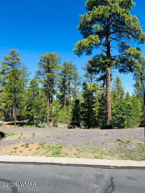 1900 S Silvertree Lane, Show Low, AZ 85901 - #2