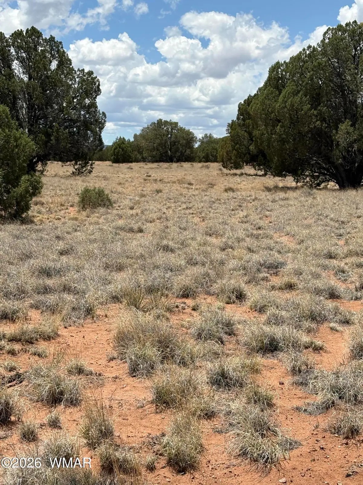 15 Pine Drive, Concho, AZ 85924 - #1