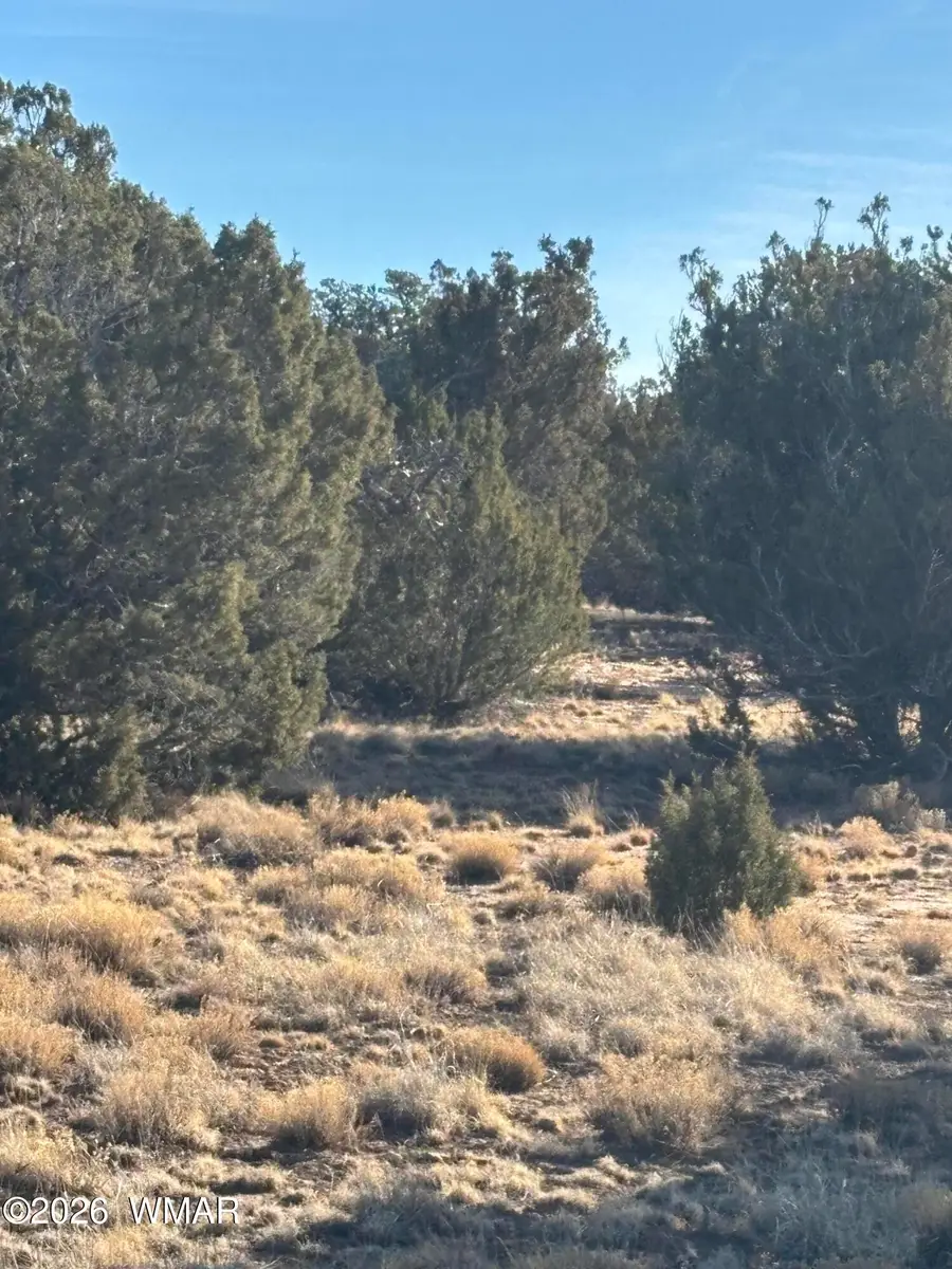 15 Pine Drive, Concho, AZ 85924 - #3