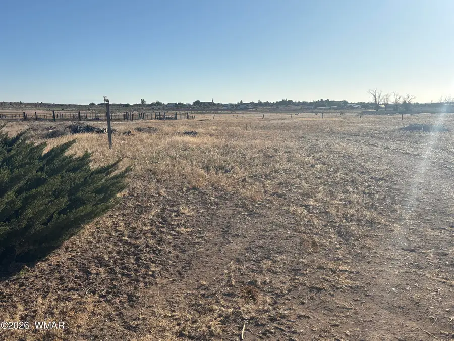 335 W 1000 Street, Taylor, AZ 85939 - #2