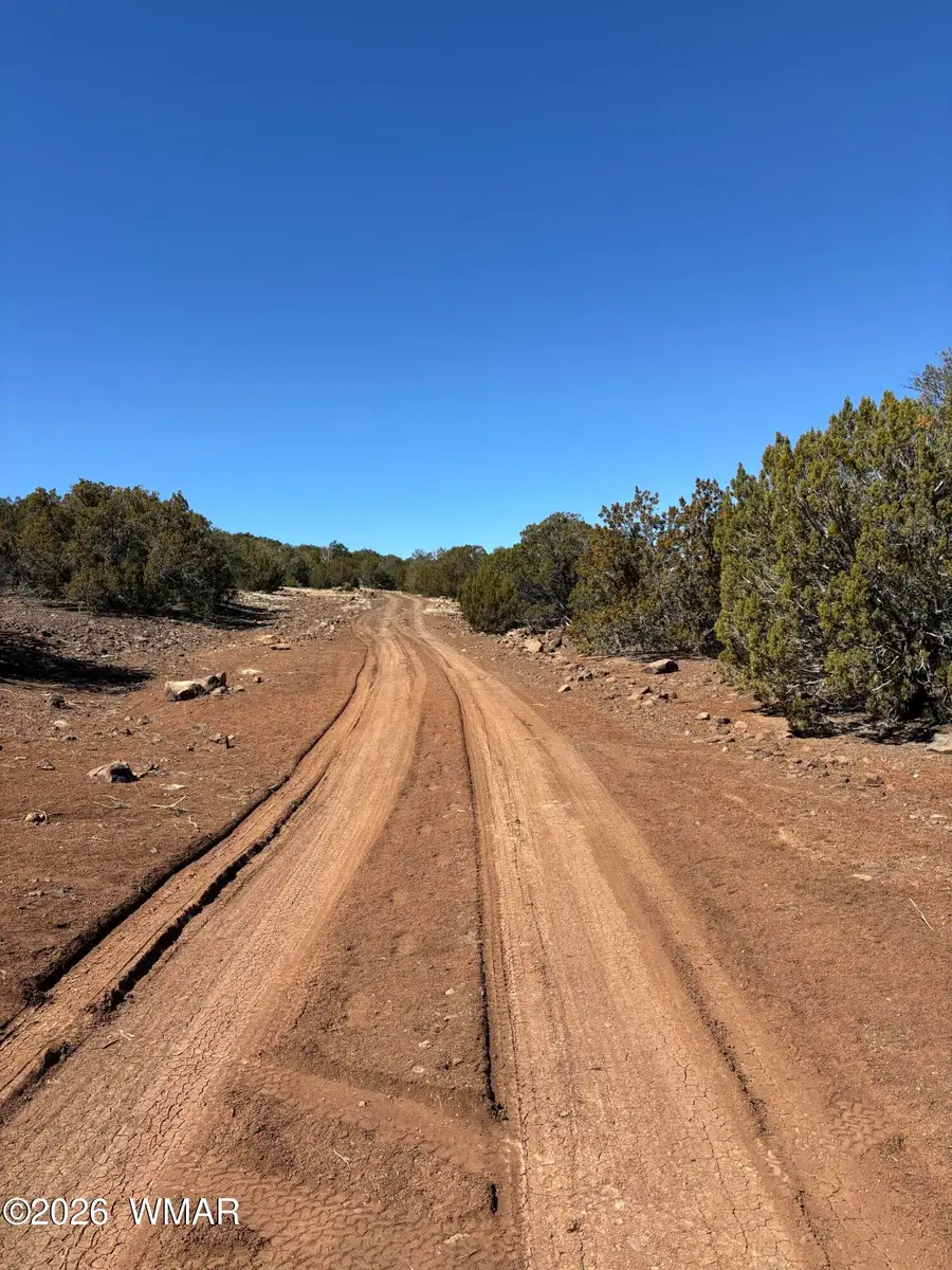 21 Pine Drive, Concho, AZ 85924 - #3