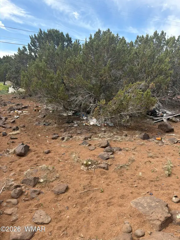 8547 Antelope Drive, Show Low, AZ 85901
