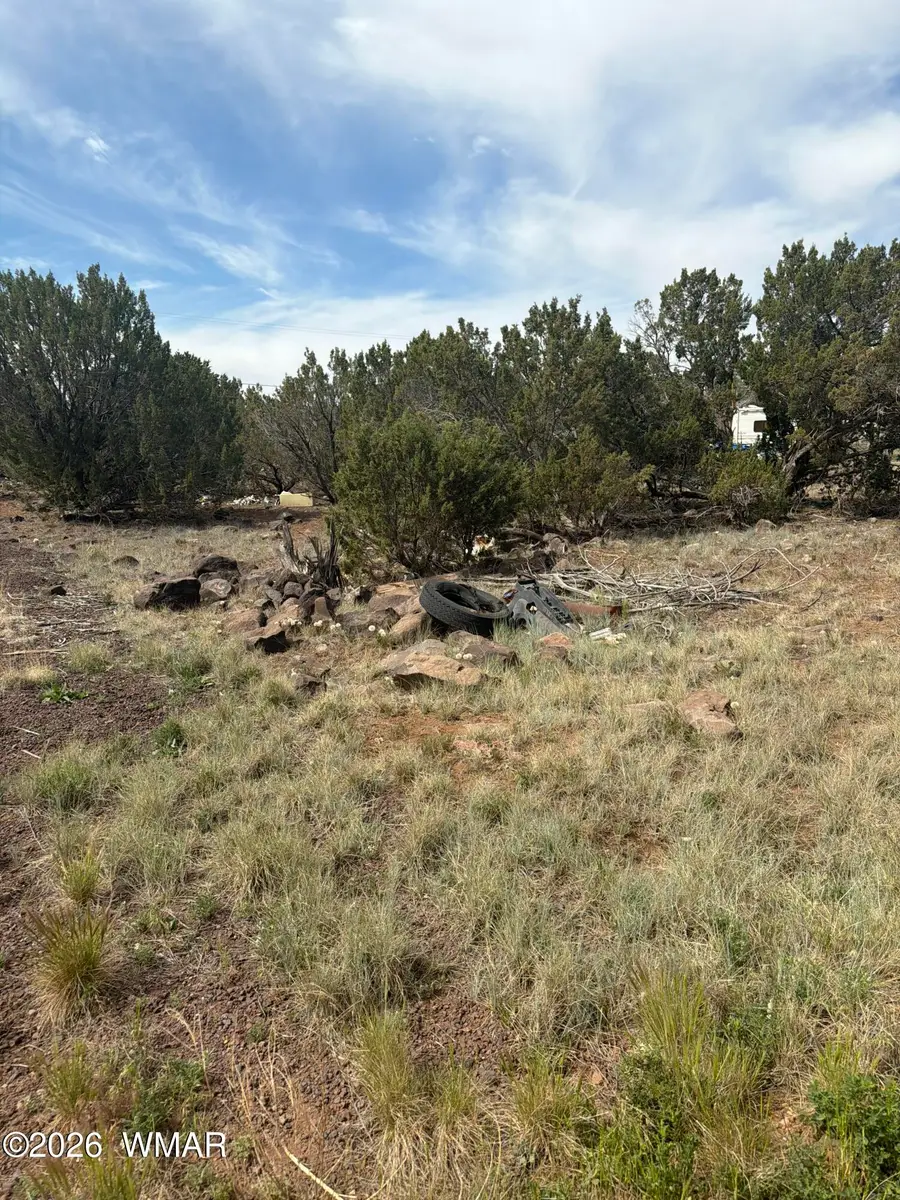 8547 Antelope Drive, Show Low, AZ 85901 - #3