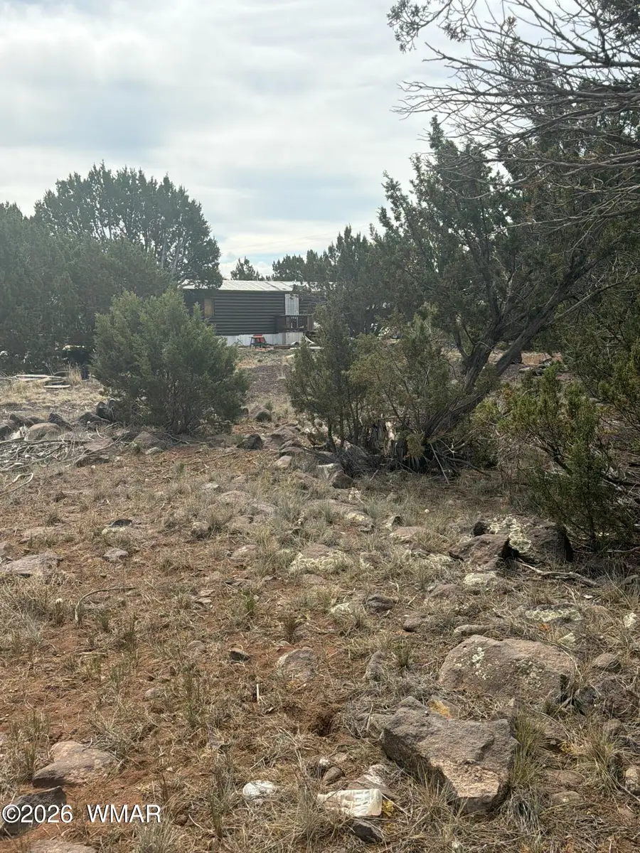 8549 Antelope Drive, Show Low, AZ 85901 - #2