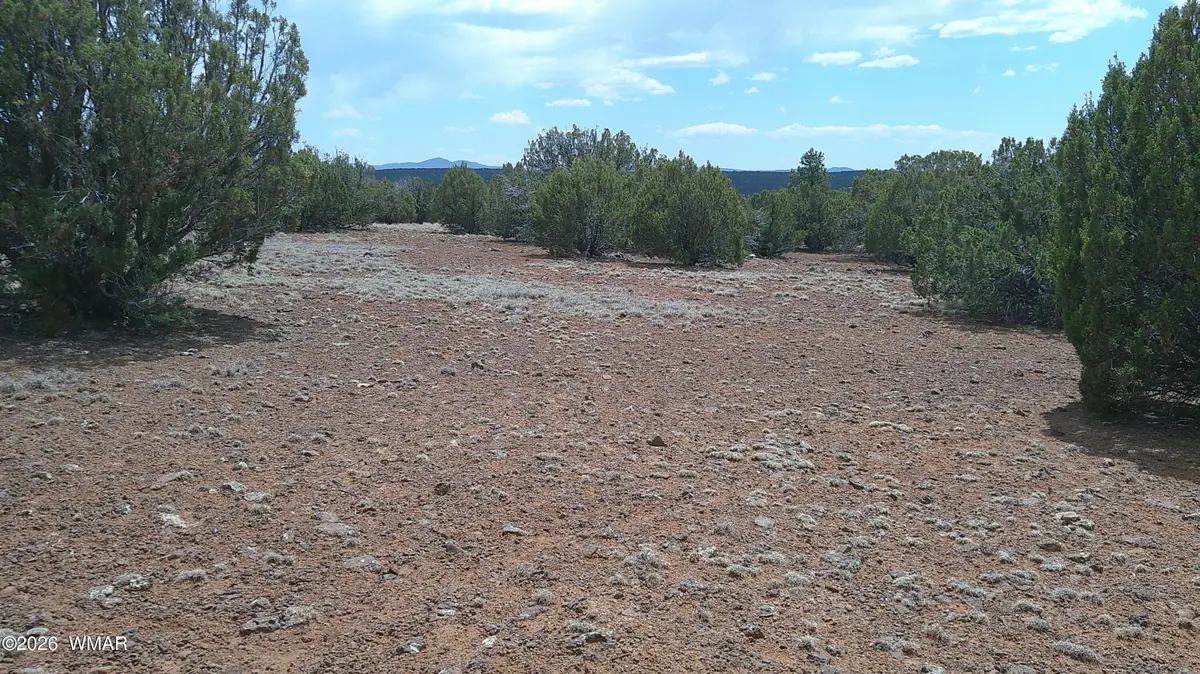 74 Co Road, Concho, AZ 85924 - #1