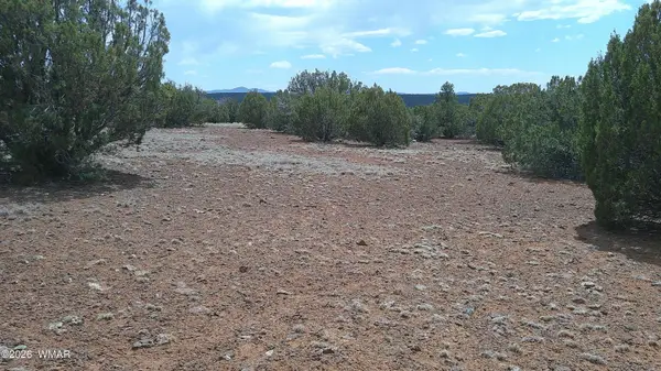 74 Co Road, Concho, AZ 85924