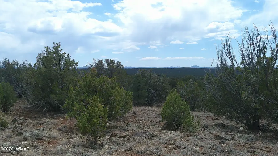 74 Co Road, Concho, AZ 85924 - #2