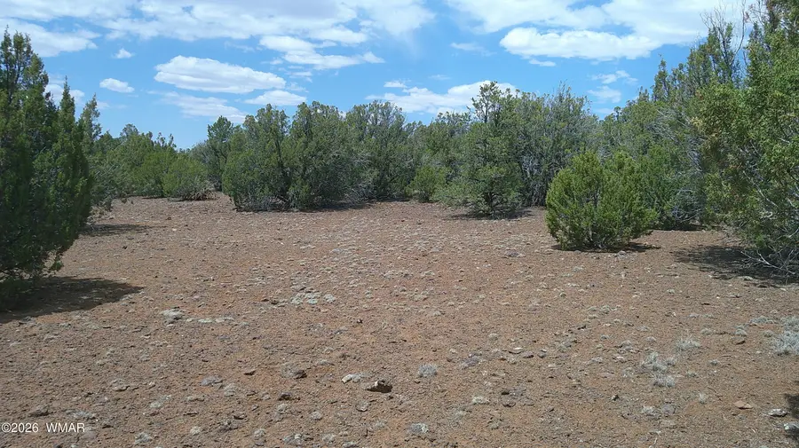 74 Co Road, Concho, AZ 85924 - #3