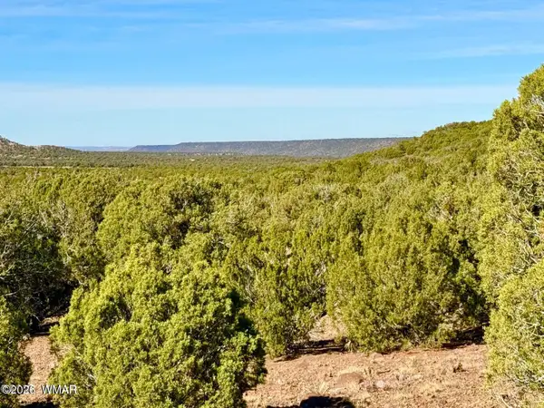 TBD Kirkwood Dr 20 Acres, Concho, AZ 85924