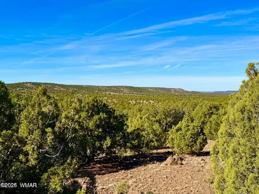 TBD Kirkwood Dr 20 Acres, Concho, AZ 85924 - #2