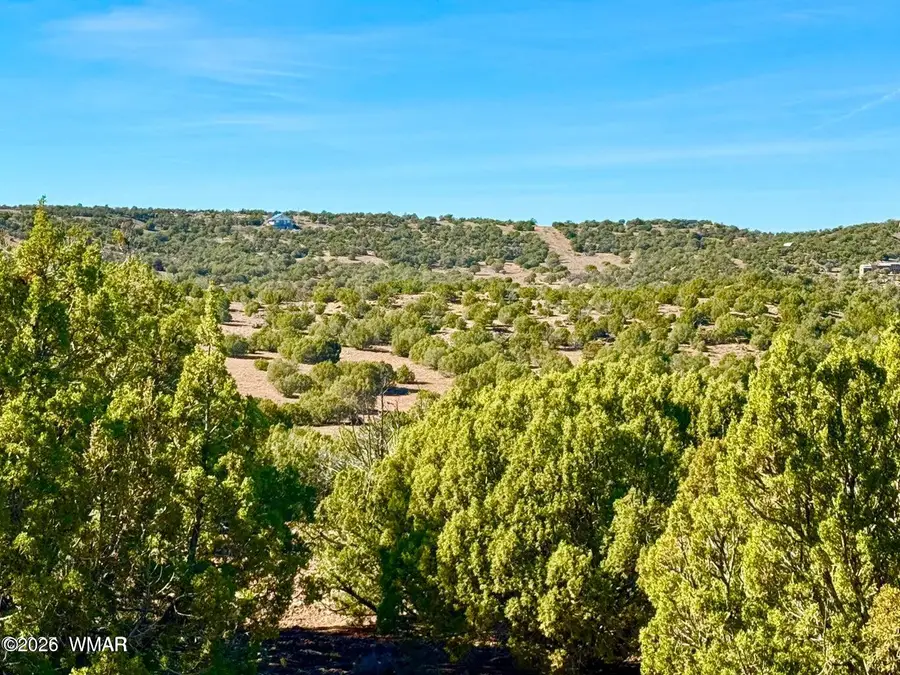 TBD Kirkwood Dr 20 Acres, Concho, AZ 85924 - #3