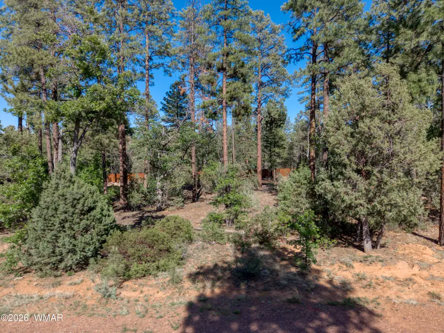 5735 Starlight Ridge Road, Lakeside, AZ 85929 - #2