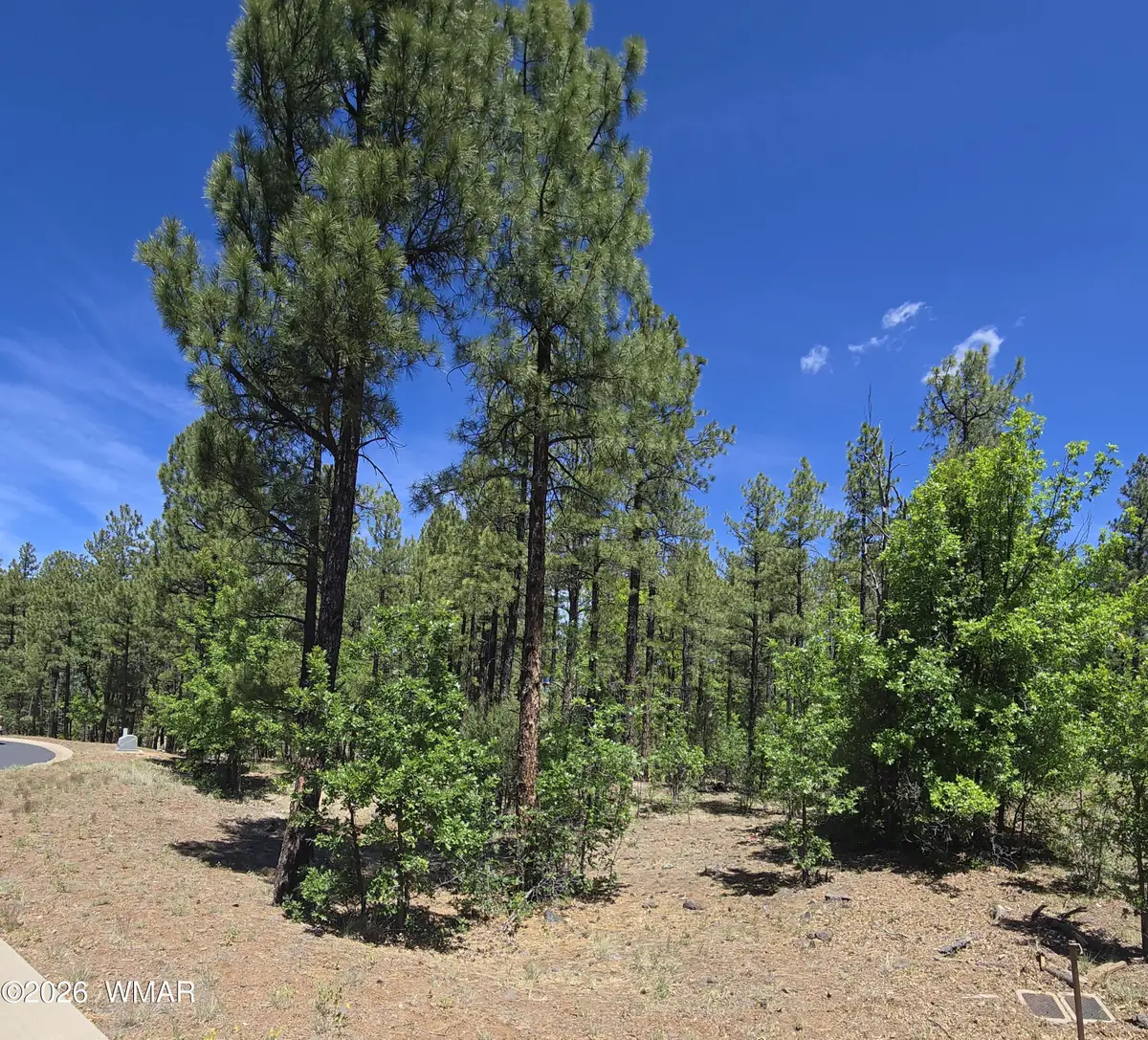 1412 Big Springs Trail, Lakeside, AZ 85929 - #1