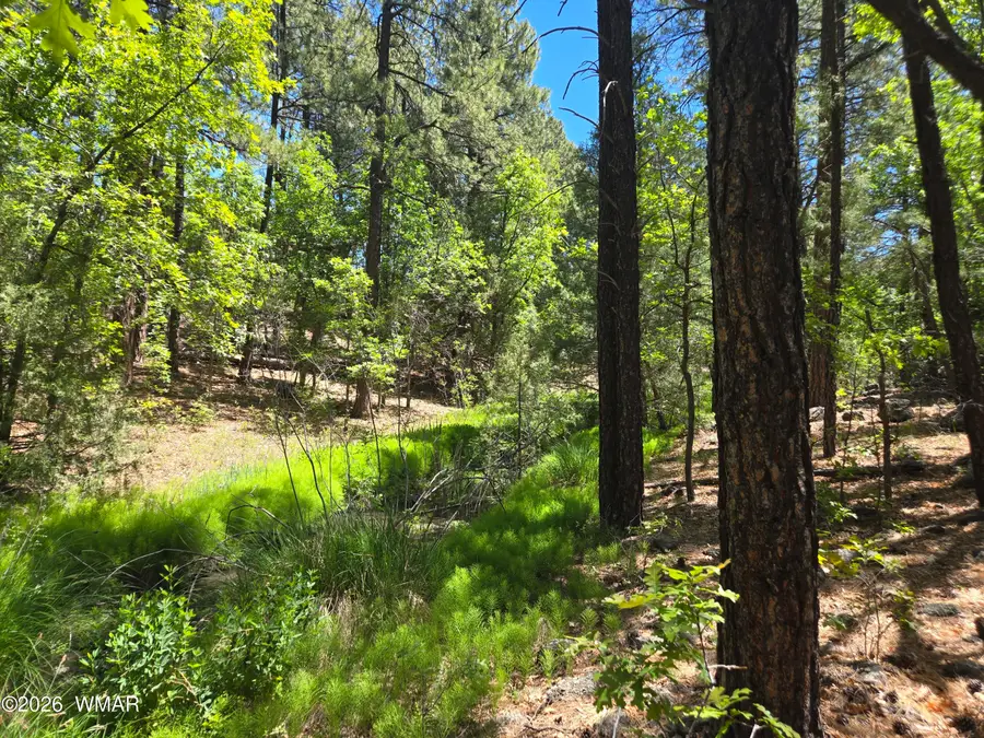 1412 Big Springs Trail, Lakeside, AZ 85929 - #2