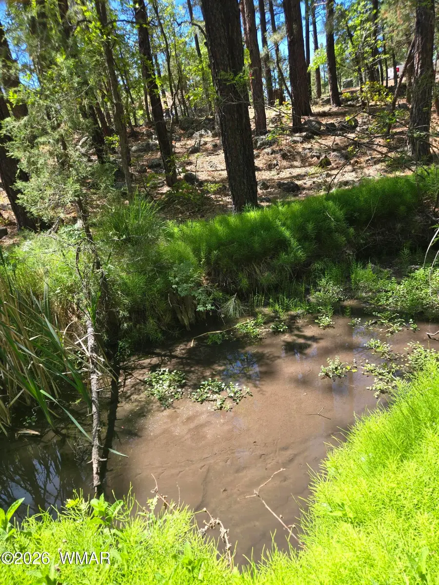 1412 Big Springs Trail, Lakeside, AZ 85929 - #3
