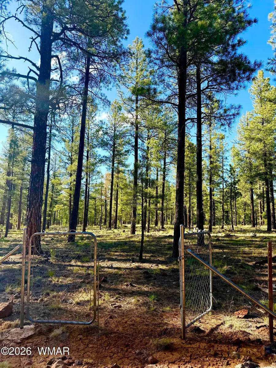 6304 Wild Cat Way, Pinetop, AZ 85935 - #3