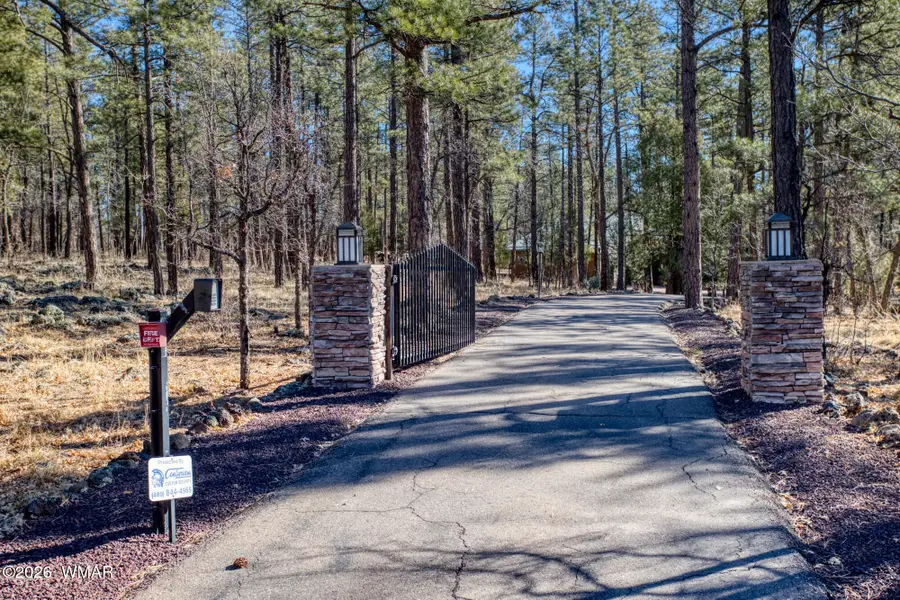 535 E Woodland Lake Road, Pinetop, AZ 85935 - #2