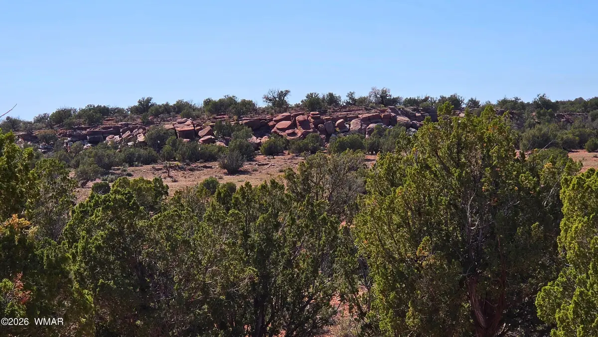 9880 Texas Lane, Show Low, AZ 85901 - #1