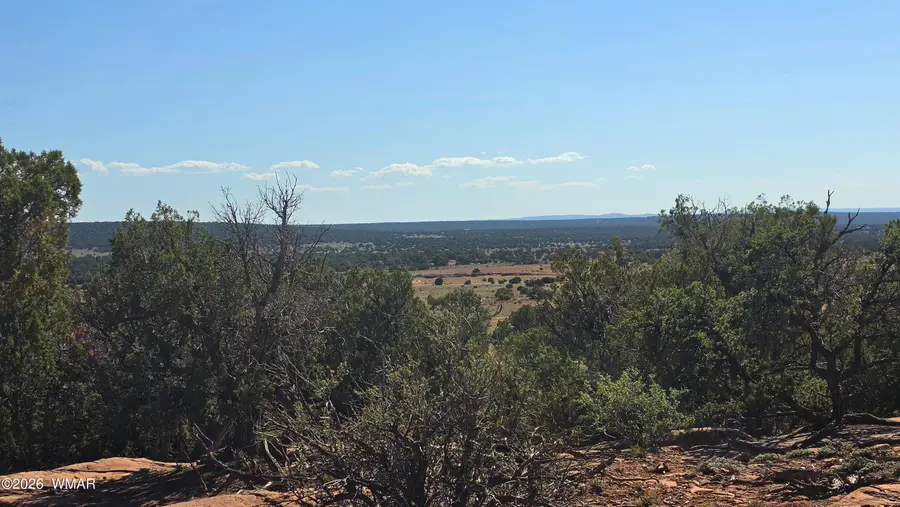 9880 Texas Lane, Show Low, AZ 85901 - #2