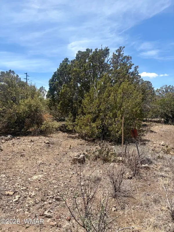 8301 Ridge Drive, Show Low, AZ 85901
