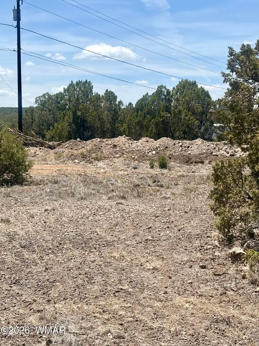8301 Ridge Drive, Show Low, AZ 85901 - #2