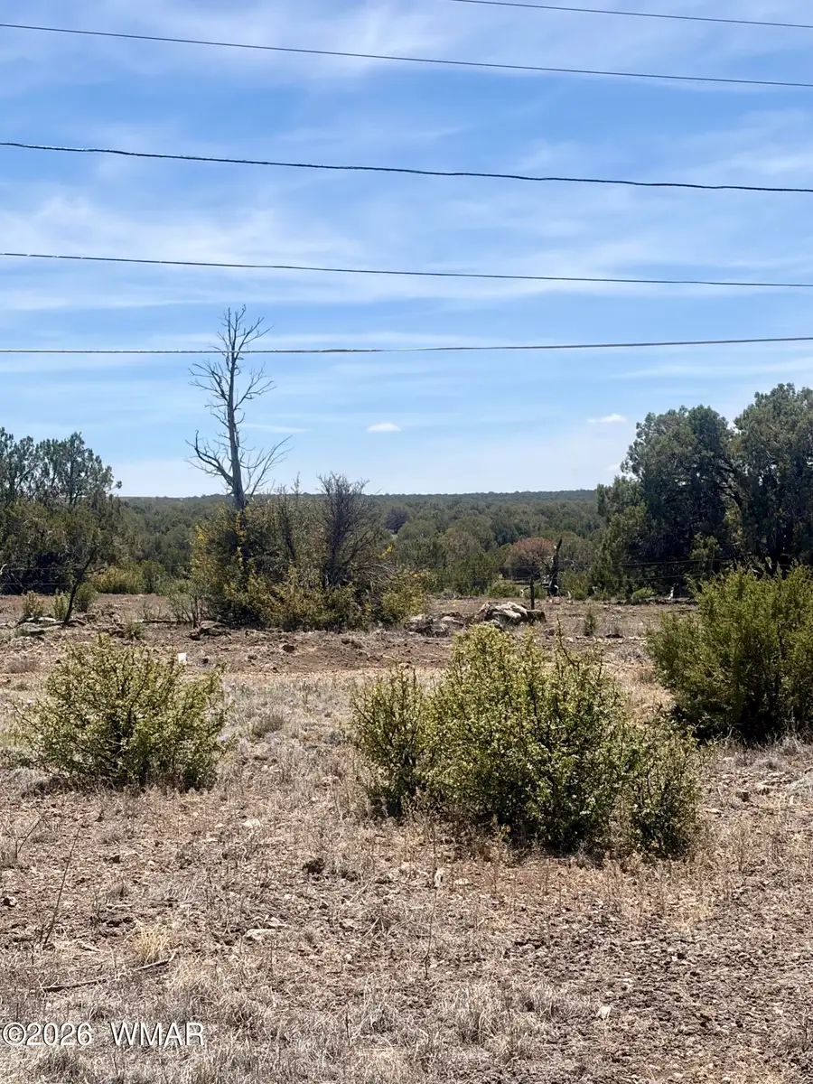 8301 Ridge Drive, Show Low, AZ 85901 - #3