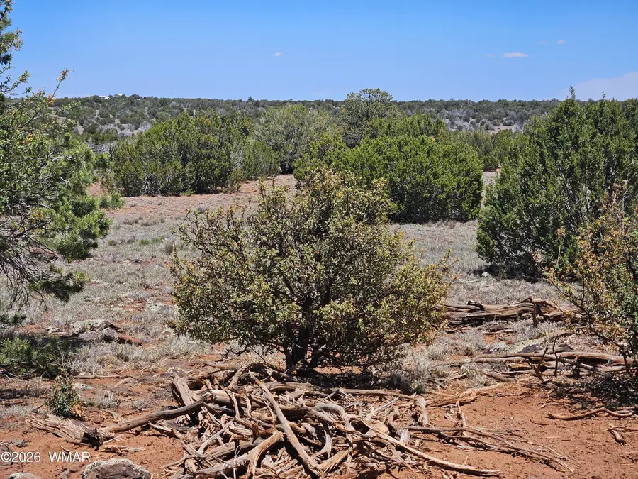 TBD Acr N8388 And N8385, Concho, AZ 85924 - #3
