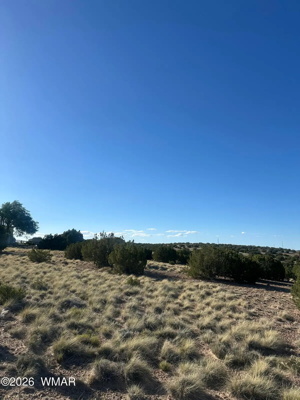 31 Mesquite Drive, Concho, AZ 85924 - #1