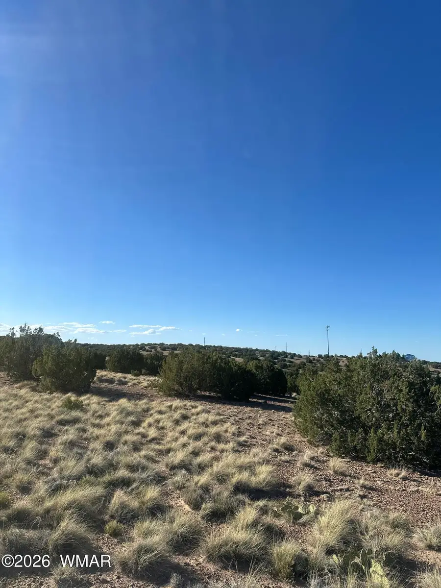 31 Mesquite Drive, Concho, AZ 85924 - #2