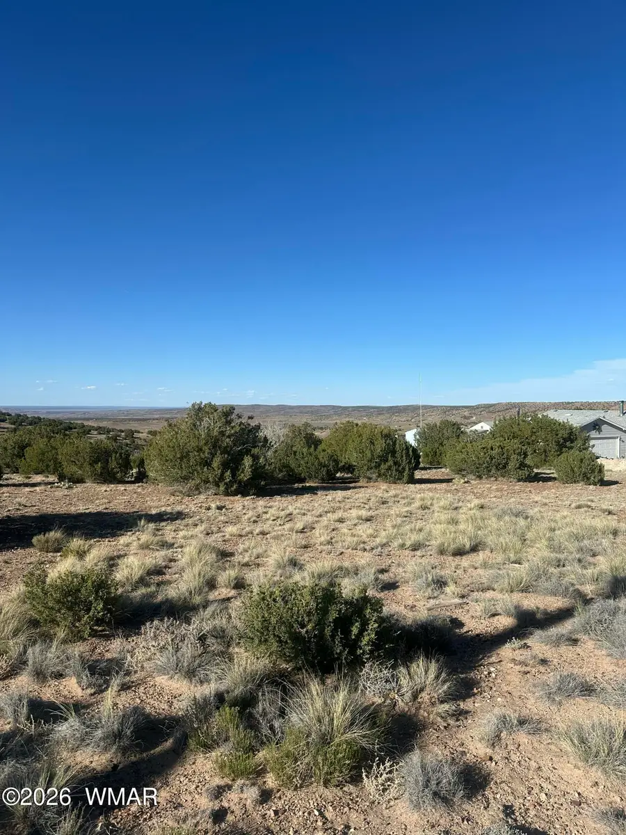 31 Mesquite Drive, Concho, AZ 85924 - #3