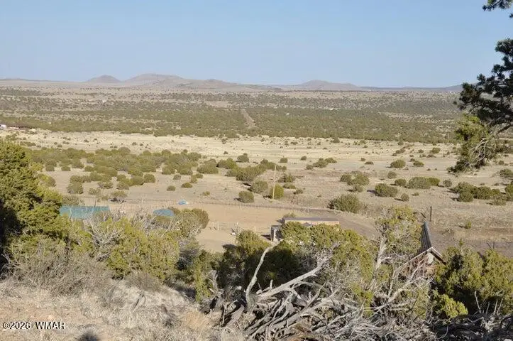 20 County Road 3044, Concho, AZ 85924 - #1