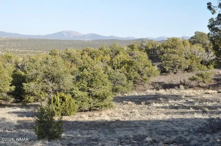 20 County Road 3044, Concho, AZ 85924 - #2