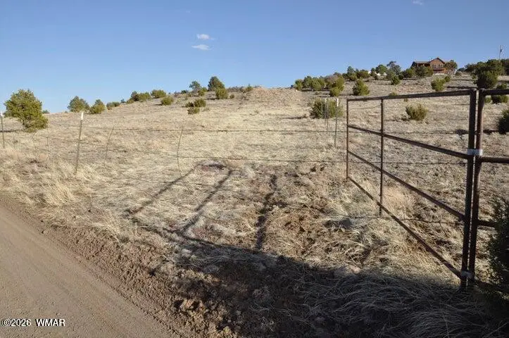 20 County Road 3044, Concho, AZ 85924 - #3