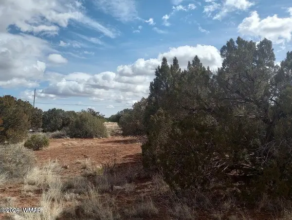 3958 Apache Road, Snowflake, AZ 85937