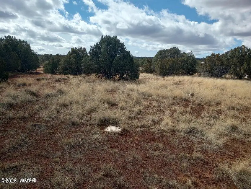3958 Apache Road, Snowflake, AZ 85937 - #3