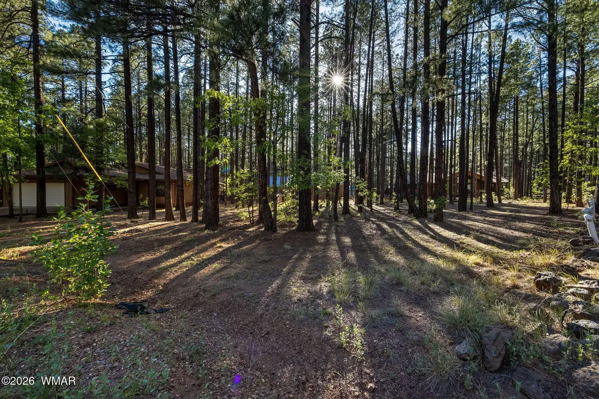 8510 Alchesay Drive, Pinetop, AZ 85935 - #1
