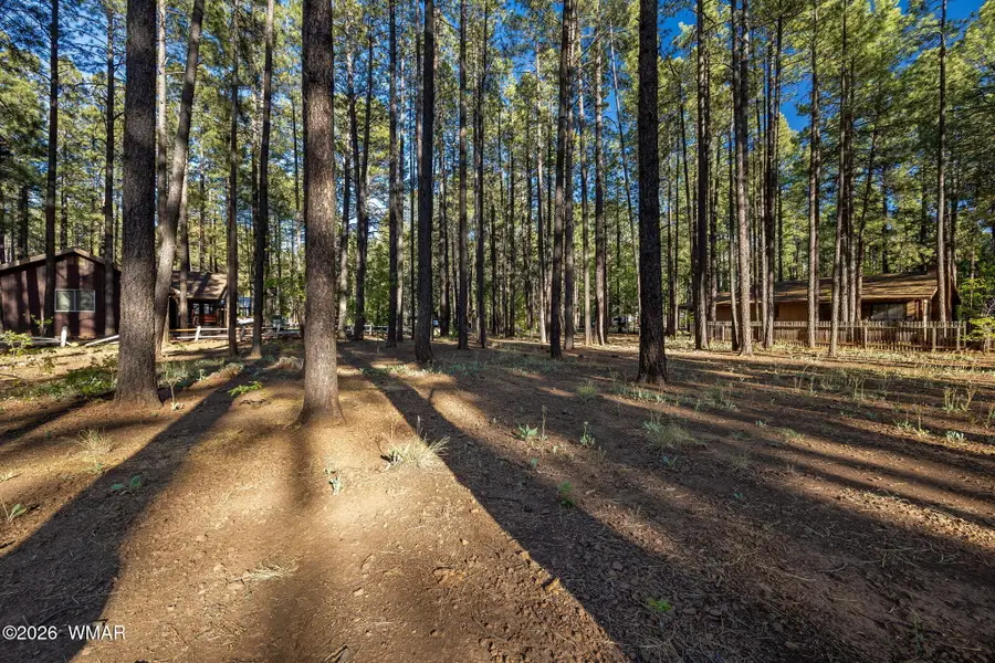 8510 Alchesay Drive, Pinetop, AZ 85935 - #2